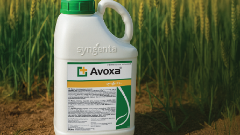 Avoxa teaser image 2025