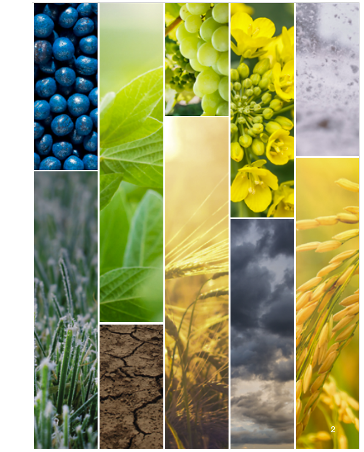 Biologicals mosaic picture