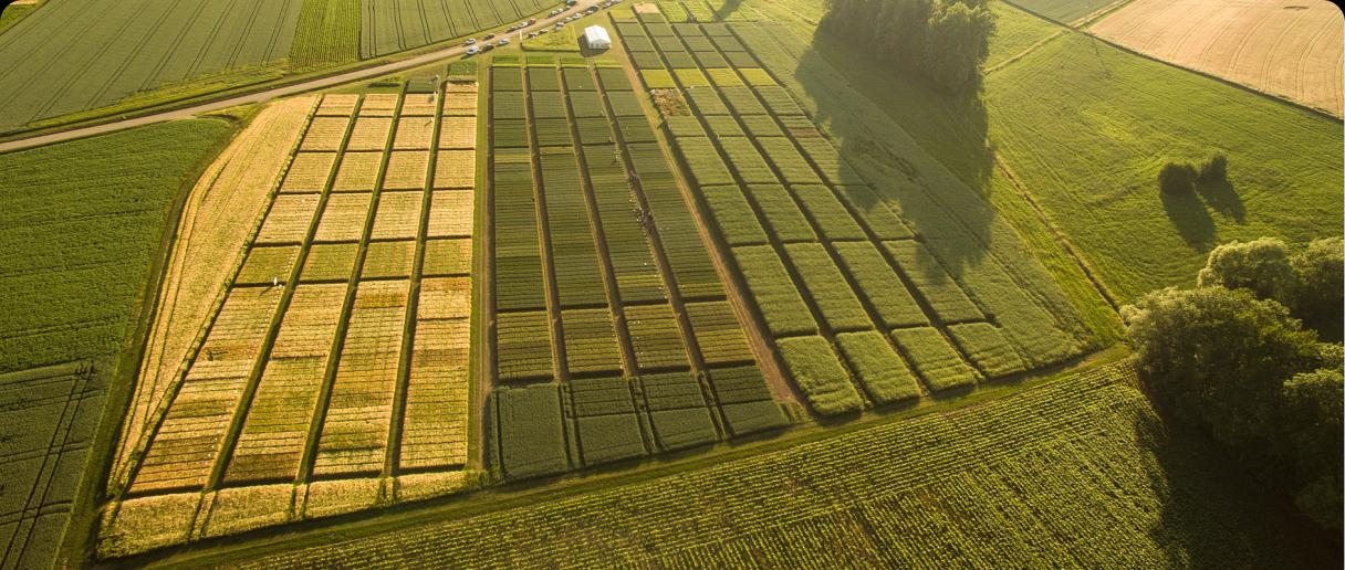 Megafol trials Germany