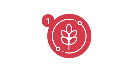 Megafol icon