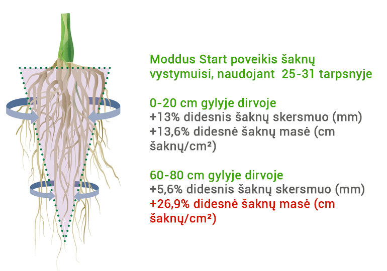 Moddus Start effect on roots